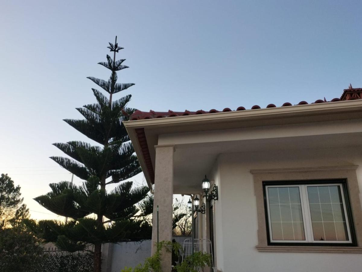 Отель Casa Dos Gnomos Alvorninha Экстерьер фото